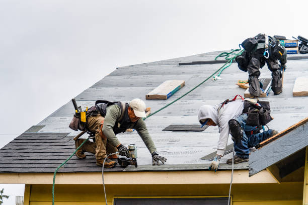Professional Flat Roof Repair technician working in Lingle, WY